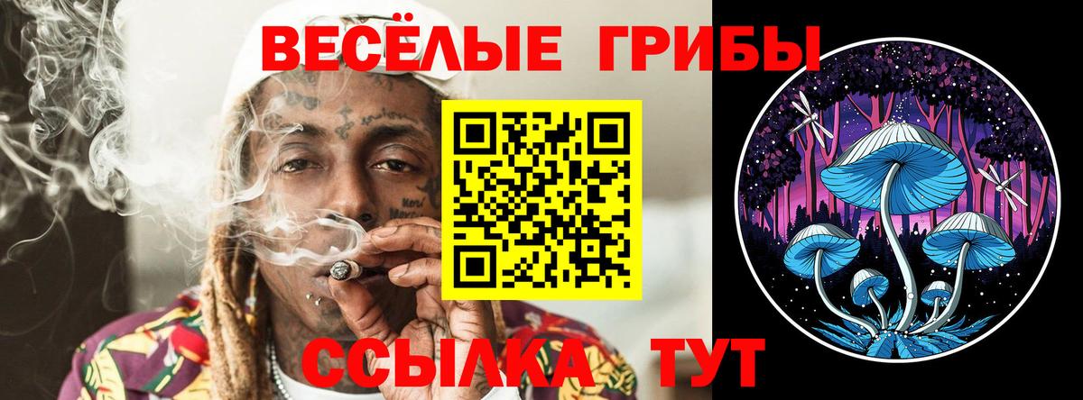 Галлюциногенные грибы Psilocybe  Псилоцибиновые грибы мицелий  как найти наркотики  Вход с VPN  Щёкино 